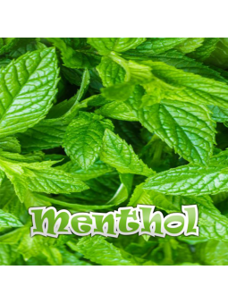 Menthol 100ML